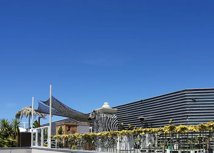 선셋 데스티네이션